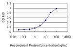 MAP3K7 Antibody in ELISA (ELISA)