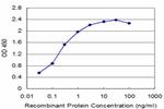 TAL2 Antibody in ELISA (ELISA)