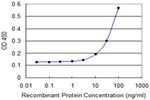 TCEB2 Antibody in ELISA (ELISA)