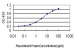 TEK Antibody in ELISA (ELISA)