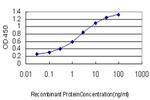 TFAP4 Antibody in ELISA (ELISA)