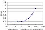 TMPRSS2 Antibody in ELISA (ELISA)