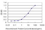 CLDN5 Antibody in ELISA (ELISA)