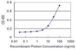 TP53BP2 Antibody in ELISA (ELISA)