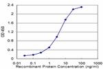 TPI1 Antibody in ELISA (ELISA)