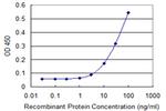 TSC2 Antibody in ELISA (ELISA)