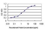 TSG101 Antibody in ELISA (ELISA)