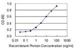 U2AF1 Antibody in ELISA (ELISA)