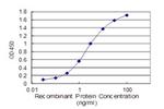 UBE2A Antibody in ELISA (ELISA)