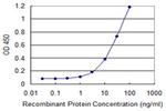 UBE2N Antibody in ELISA (ELISA)