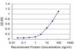 UBTF Antibody in ELISA (ELISA)