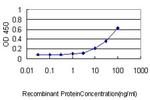 UCHL1 Antibody in ELISA (ELISA)