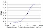 UCHL1 Antibody in ELISA (ELISA)