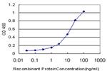 UCP1 Antibody in ELISA (ELISA)