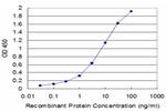 UROD Antibody in ELISA (ELISA)