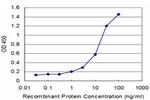 WRB Antibody in ELISA (ELISA)