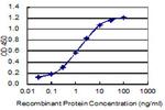 ZNF12 Antibody in ELISA (ELISA)