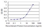 RNF113A Antibody in ELISA (ELISA)