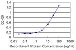 ZP2 Antibody in ELISA (ELISA)