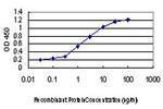 MAPKAPK3 Antibody in ELISA (ELISA)