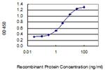 PLA2G7 Antibody in ELISA (ELISA)