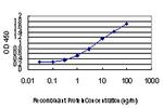 PLA2G7 Antibody in ELISA (ELISA)