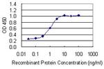 TFEB Antibody in ELISA (ELISA)