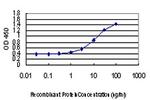 EPM2A Antibody in ELISA (ELISA)