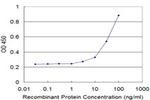 NCOA4 Antibody in ELISA (ELISA)