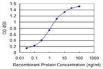 PTP4A2 Antibody in ELISA (ELISA)