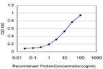 TCL1A Antibody in ELISA (ELISA)