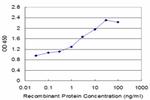 SLC14A2 Antibody in ELISA (ELISA)