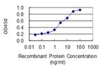 USP11 Antibody in ELISA (ELISA)