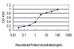 USP9X Antibody in ELISA (ELISA)