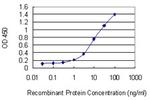 AXIN2 Antibody in ELISA (ELISA)