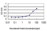 CDC45L Antibody in ELISA (ELISA)