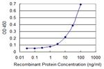 DOC2A Antibody in ELISA (ELISA)