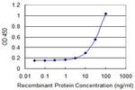 SEMA7A Antibody in ELISA (ELISA)