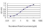 LIPF Antibody in ELISA (ELISA)