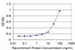 CSDA Antibody in ELISA (ELISA)