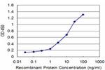 TNKS Antibody in ELISA (ELISA)