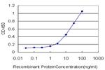 TNFRSF25 Antibody in ELISA (ELISA)