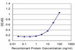 ADAM20 Antibody in ELISA (ELISA)