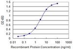 GMPS Antibody in ELISA (ELISA)