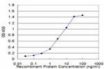 CFLAR Antibody in ELISA (ELISA)