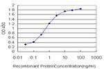 PCAF Antibody in ELISA (ELISA)