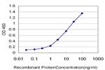 GENX-3414 Antibody in ELISA (ELISA)