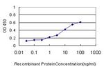 TAF1A Antibody in ELISA (ELISA)