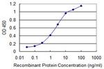 KRT75 Antibody in ELISA (ELISA)