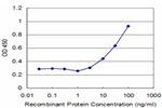 VAPB Antibody in ELISA (ELISA)